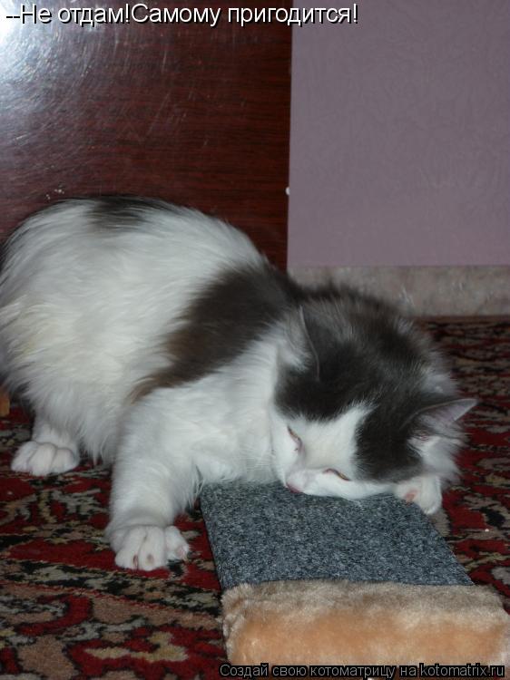 Котоматрица: --Не отдам!Самому пригодится!