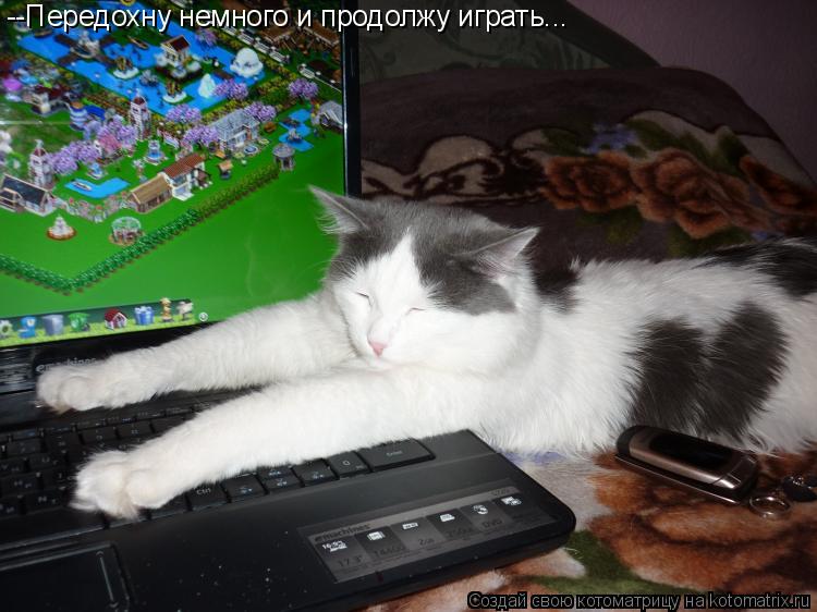 Котоматрица: --Передохну немного и продолжу играть...