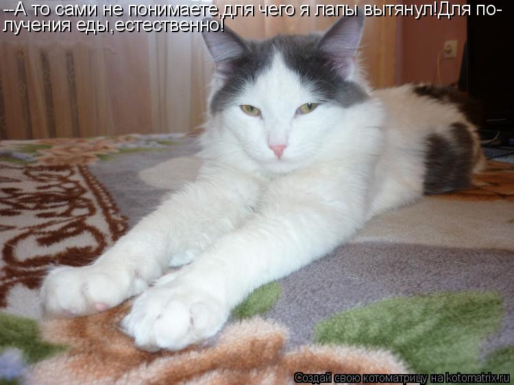 Котоматрица: --А то сами не понимаете,для чего я лапы вытянул!Для по- лучения еды,естественно!