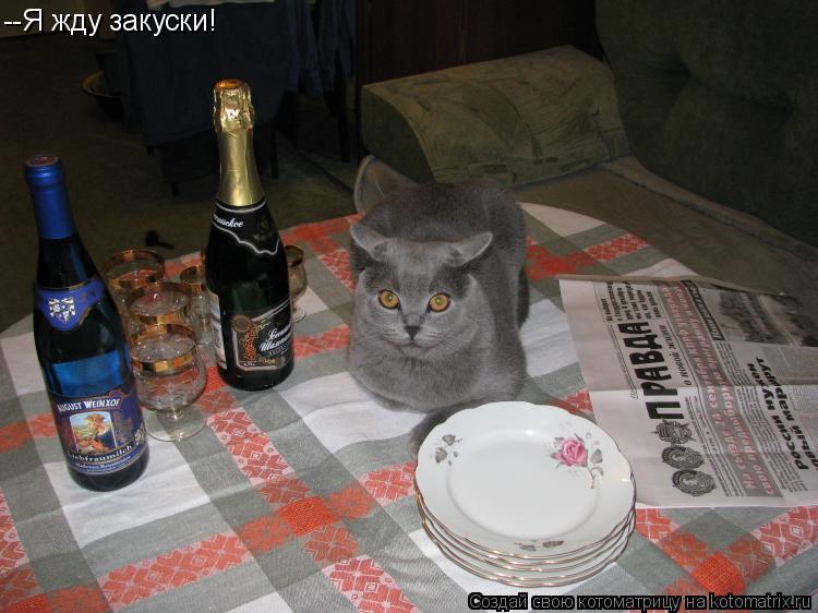 Котоматрица: --Я жду закуски!