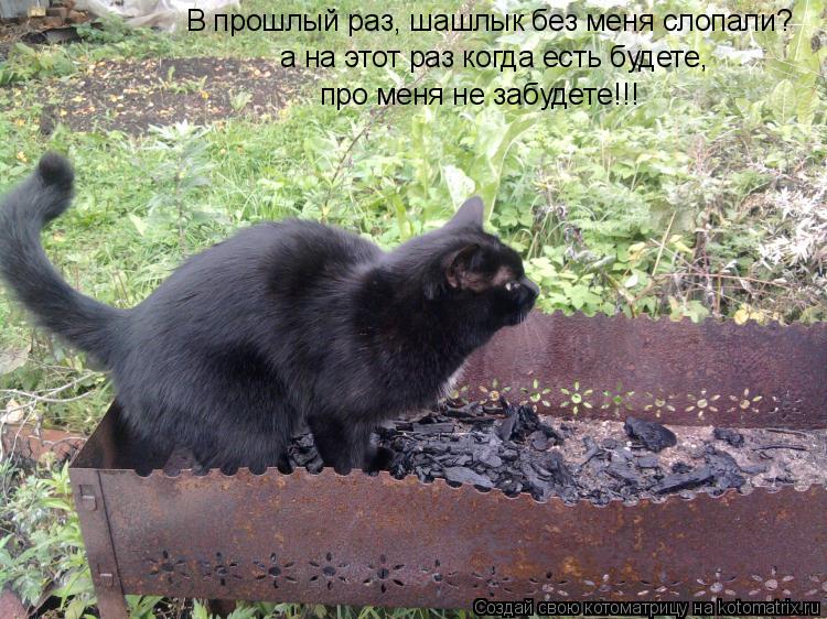 Котоматрица: В прошлый раз, шашлык без меня слопали? а на этот раз когда есть будете,  про меня не забудете!!!