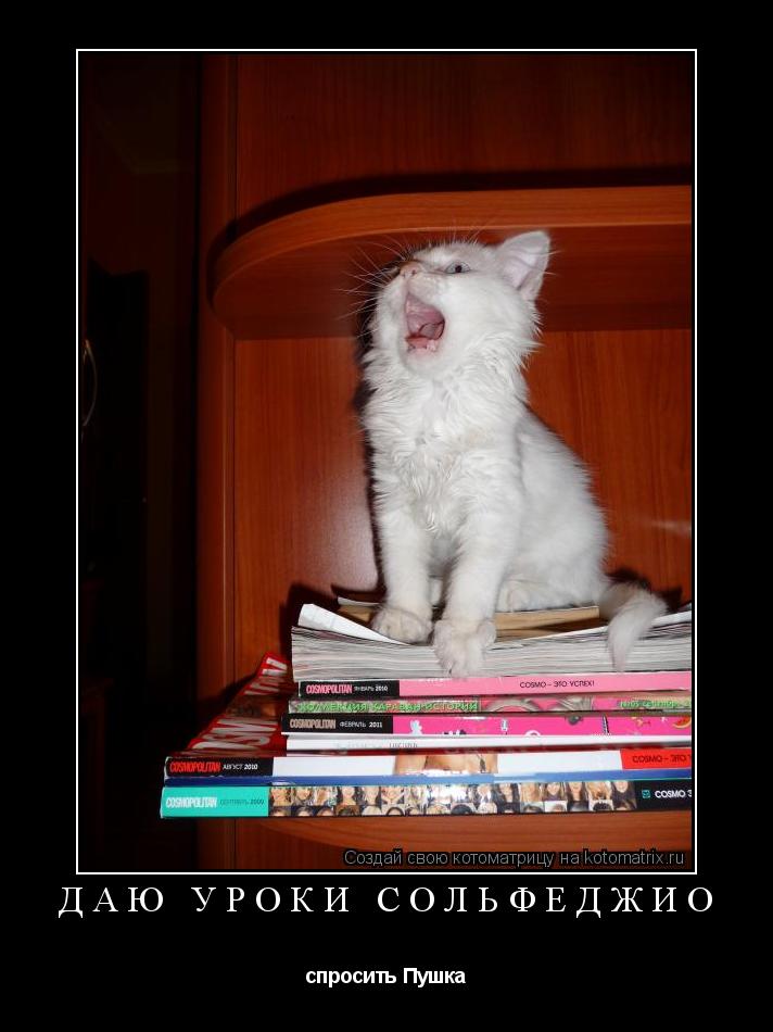 Котоматрица: Даю уроки сольфеджио спросить Пушка