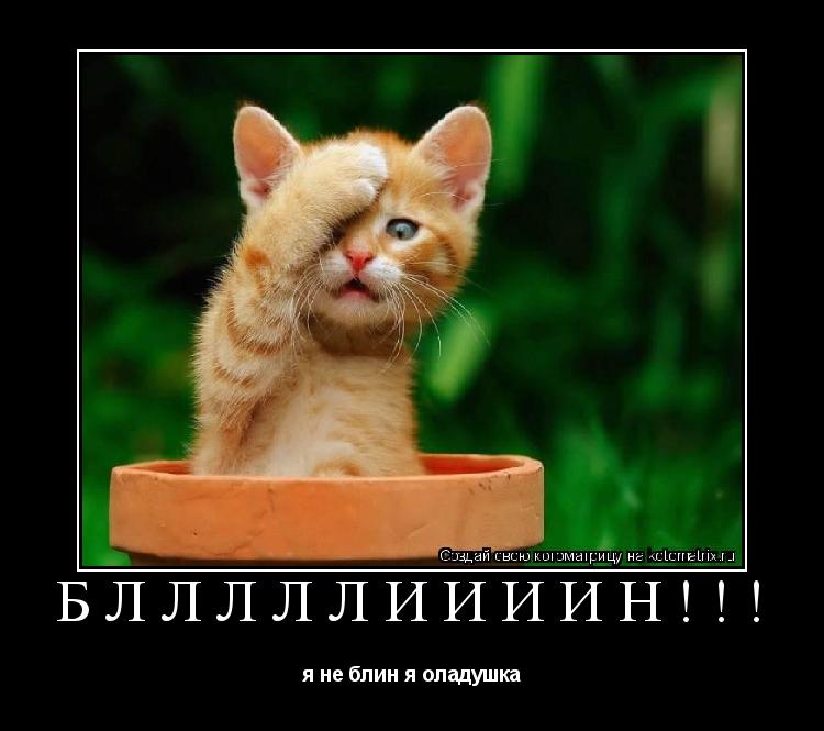 Котоматрица: блллллиииин!!! я не блин я оладушка