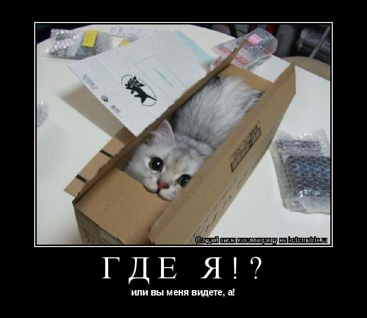 Котоматрица: где я!? или вы меня видете, а!