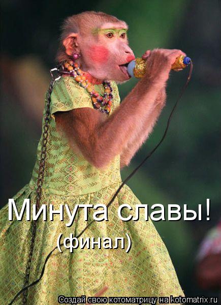 Котоматрица: Минута славы! (финал)