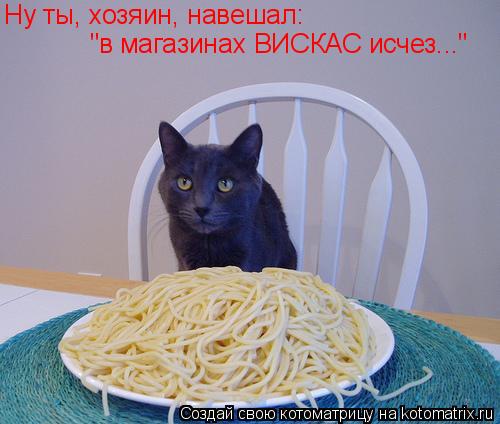 Котоматрица: Ну ты, хозяин, навешал:  "в магазинах ВИСКАС исчез..."