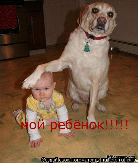 Котоматрица: мой ребёнок!!!!!