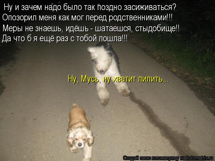 Котоматрица: Ну и зачем надо было так поздно засиживаться? Опозорил меня как мог перед родственниками!!! Меры не знаешь, идёшь - шатаешся, стыдобище!! Ну, М