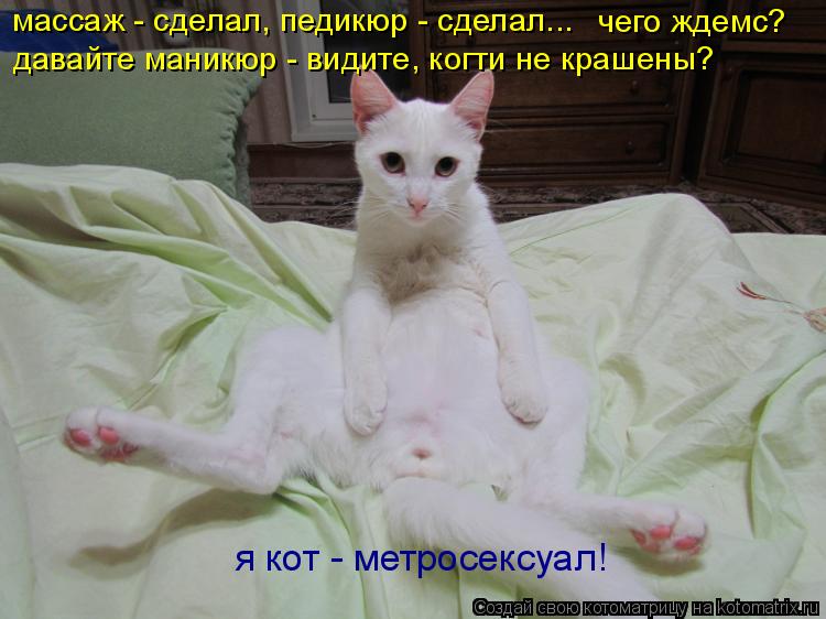Котоматрица: массаж - сделал, педикюр - сделал... чего ждемс?  давайте маникюр - видите, когти не крашены? я кот - метросексуал!