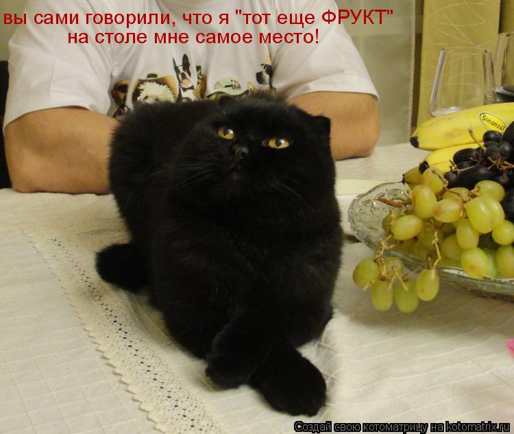 вы сами говорили, что я "тот еще ФРУКТ" на столе мне самое место!... Котоматрица: вы сами говорили, что я "тот еще ФРУКТ" на столе мне самое место!