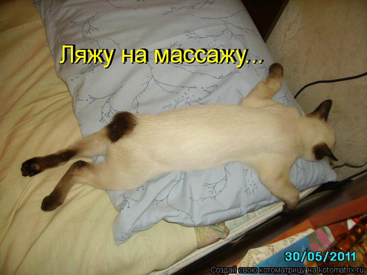 Котоматрица: Ляжу на массажу... Ляжу на массажу...