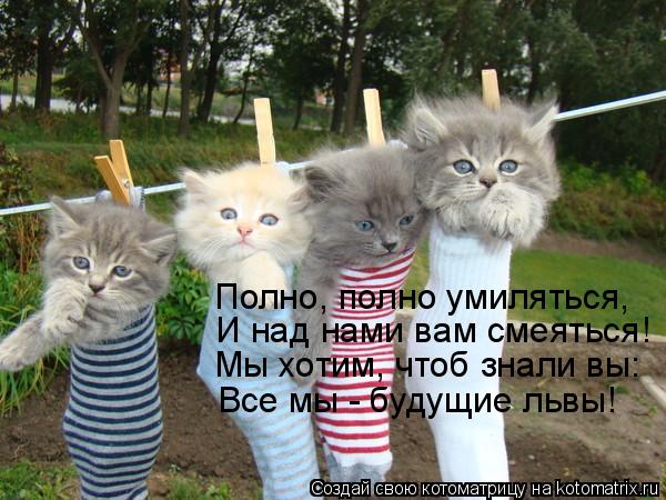 Полно, полно умиляться, И над нами вам смеяться! Мы хотим, чтоб знали вы: Все мы - будущие львы!... Котоматрица: Полно, полно умиляться, И над нами вам смеяться! Мы хотим, чтоб знали вы: Все мы - будущие львы!