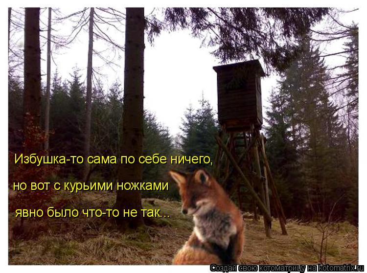 Котоматрица: Избушка-то сама по себе ничего, но вот с курьими ножками явно было что-то не так...