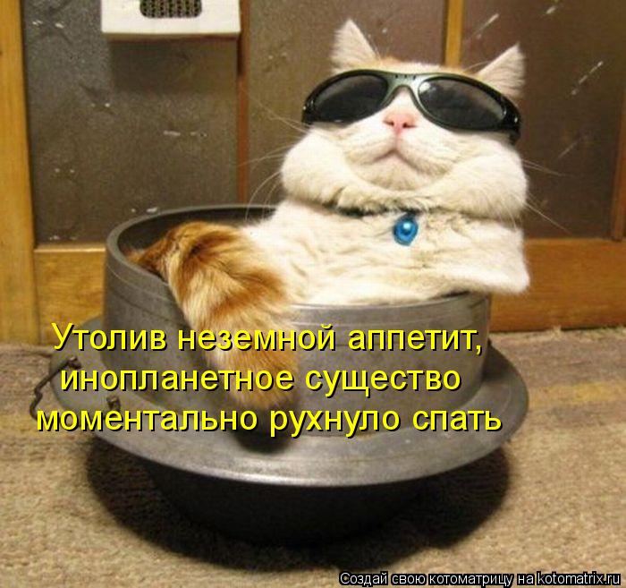 моментально рухнуло спать Утолив неземной аппетит, инопланетное существо... Котоматрица: моментально рухнуло спать Утолив неземной аппетит, инопланетное существо