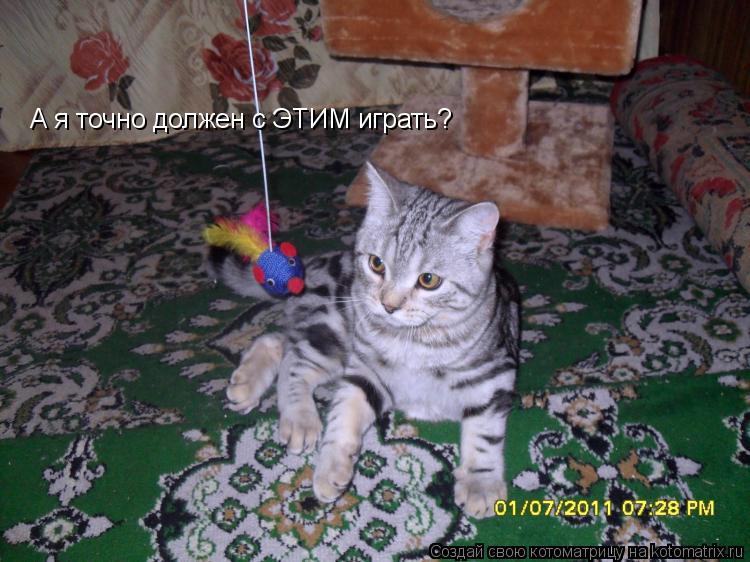 Котоматрица: А я точно должен с ЭТИМ играть?