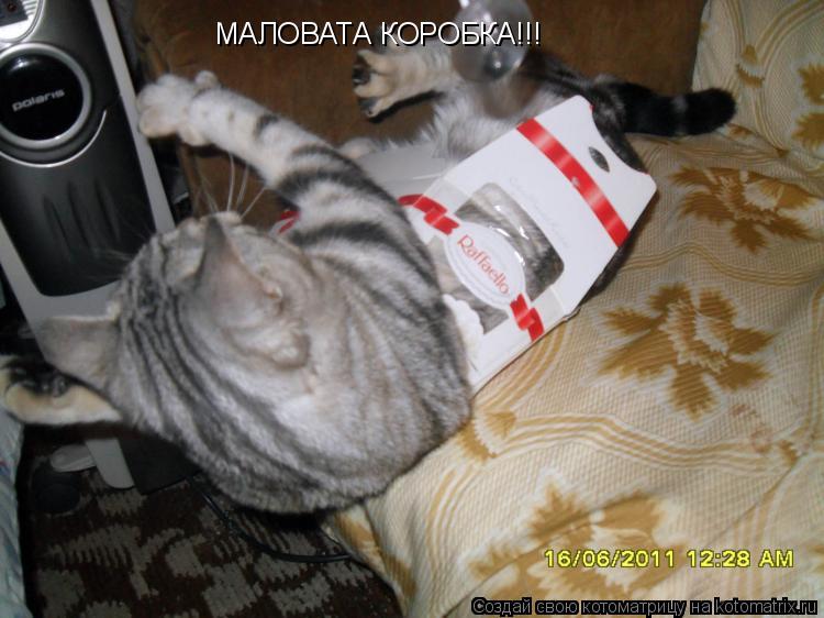 Котоматрица: МАЛОВАТА КОРОБКА!!!