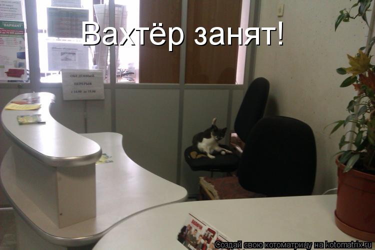 Котоматрица: Вахтёр занят!