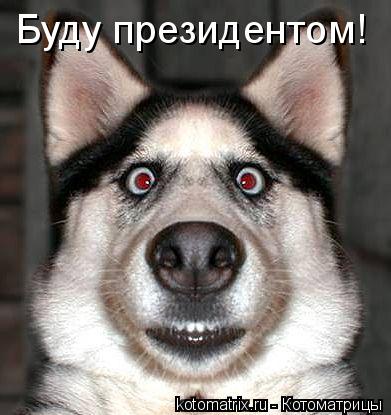 Котоматрица: Буду президентом!