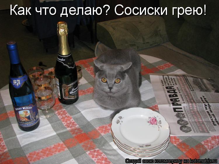 Котоматрица: Как что делаю? Сосиски грею!