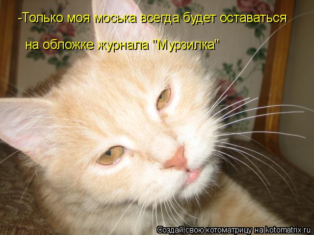 Котоматрица: -Только моя моська всегда будет оставаться на обложке журнала "Мурзилка"