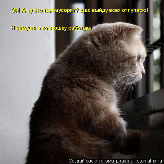 Котоматрица: Эй! А ну кто там мусорит? щас выйду всех отлупасю! Я сегодня а хозяюшку работаю!