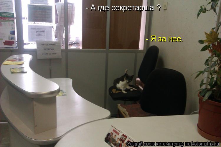 Котоматрица: - А где секретарша ? - Я за нее.