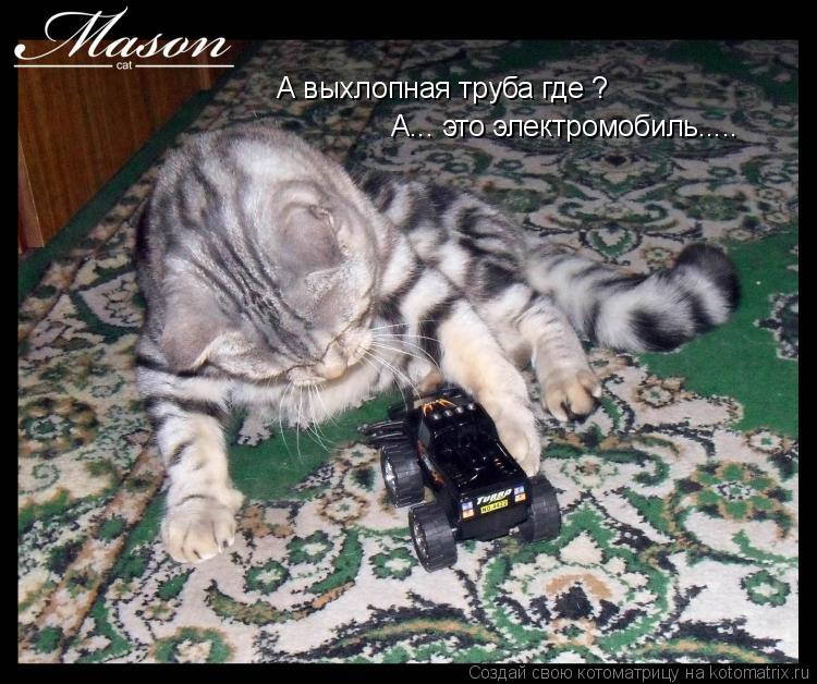 Котоматрица: А выхлопная труба где ? А... это электромобиль.....