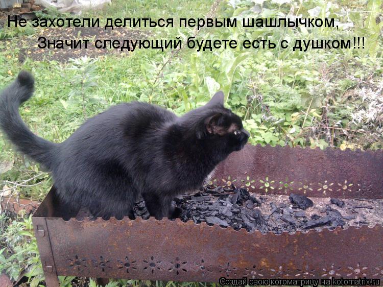 Котоматрица: Не захотели делиться первым шашлычком, Значит следующий будете есть с душком!!!