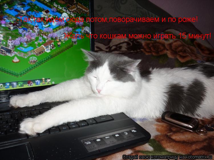 Котоматрица: -Так,так идем сюда потом,поворачиваем и по роже! Жаль что кошкам можно играть 15 минут!