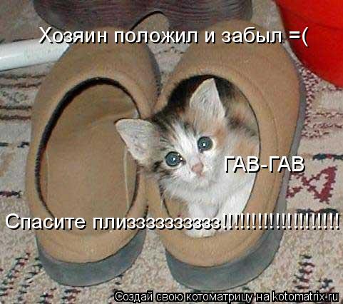 Котоматрица: Хозяин положил и забыл =( Спасите плизззззззззз!!!!!!!!!!!!!!!!!!!! ГАВ-ГАВ