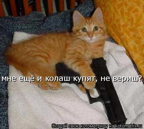 Котоматрица: мне ещё и колаш купят, не вериш?