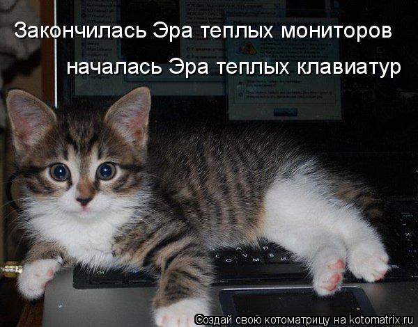 Котоматрица: Закончилась Эра теплых мониторов началась Эра теплых клавиатур