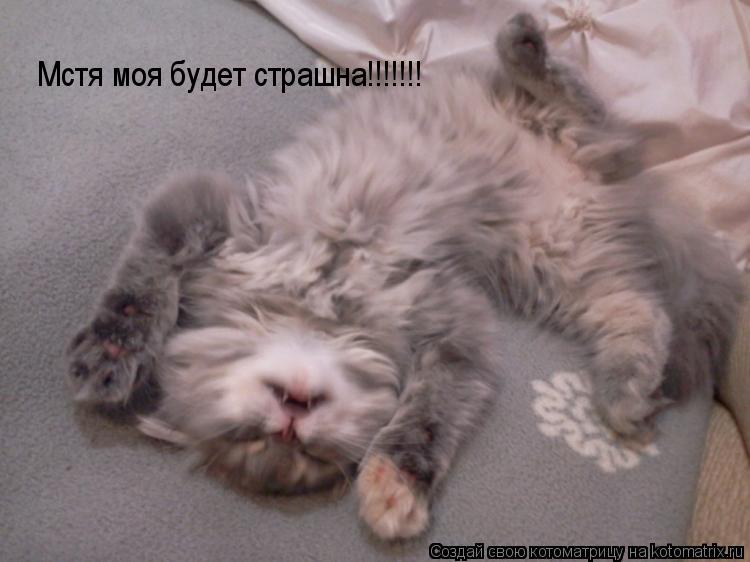 Котоматрица: Мстя моя будет страшна!!!!!!!
