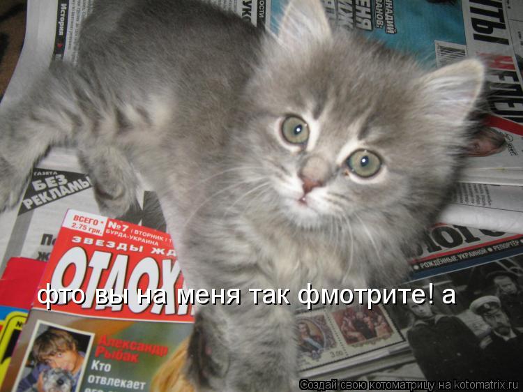 Котоматрица: фто вы на меня так фмотрите! а