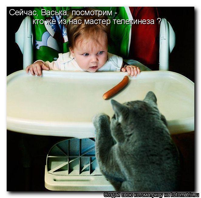 Котоматрица: кто же из нас мастер телекинеза ? Сейчас, Васька, посмотрим - Сейчас, Васька, посмотрим - кто же из нас мастер телекинеза ? кто же из нас мастер 