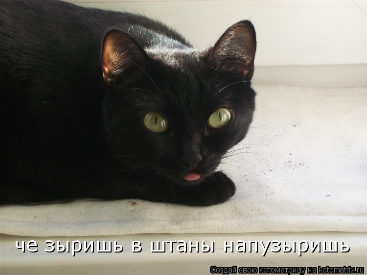 Котоматрица: че зыришь в штаны напузыришь