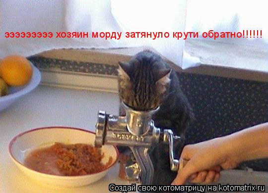 Котоматрица: эээээээээ хозяин морду затянуло крути обратно!!!!!!