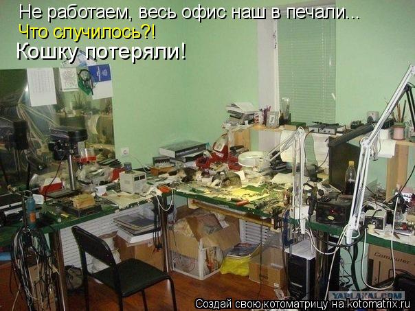 Котоматрица: Не работаем, весь офис наш в печали... Что случилось?! Кошку потеряли!