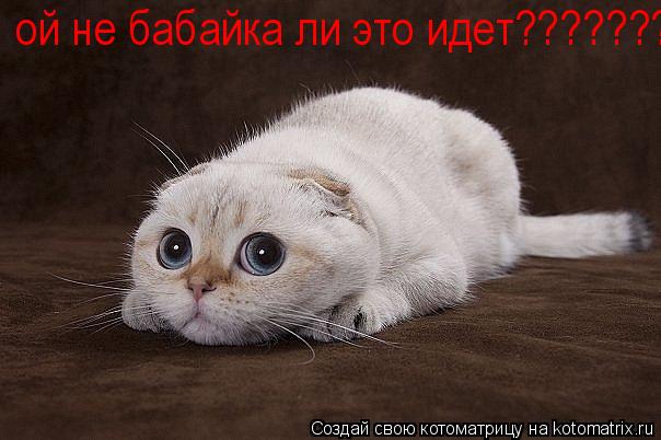 Котоматрица: ой не бабайка ли это идет???????