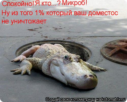 Котоматрица: Спокойно! Я кто...? Микроб! Ну из того 1% который ваш доместос не уничтожает