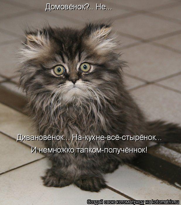 Котоматрица: Домовёнок?.. Не... И немножко тапком-получённок! Дивановёнок... На-кухне-всё-стырёнок...