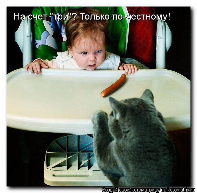На счет "три"? Только по-честному!... Котоматрица: На счет "три"? Только по-честному!