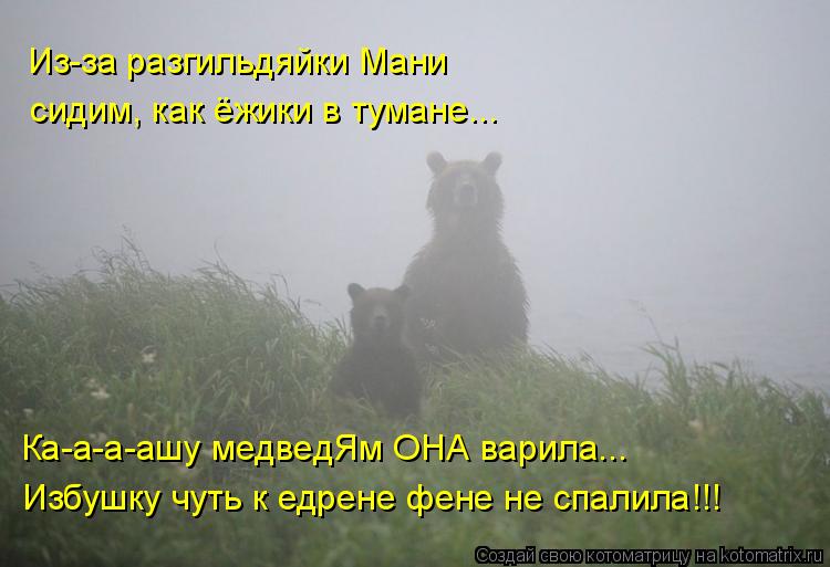 Из-за разгильдяйки Мани сидим, как ёжики в тумане... Ка-а-а-ашу медведЯм ОНА варила... Избушку чуть к... Котоматрица: Из-за разгильдяйки Мани сидим, как ёжики в тумане... Ка-а-а-ашу медведЯм ОНА варила... Избушку чуть к едрене фене не спалила!!!