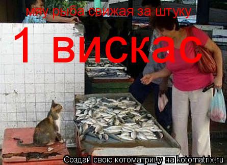 Котоматрица: мяу рыба свижая за штуку 1 вискас