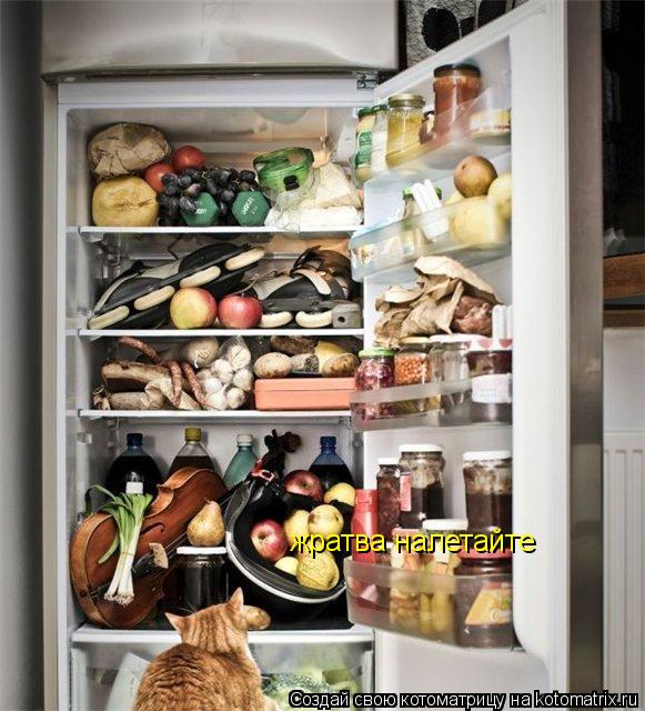 Котоматрица: жратва налетайте