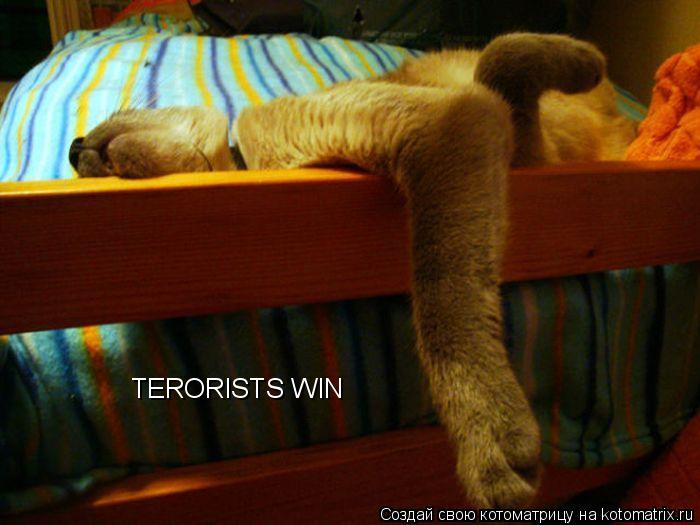 TERORISTS WIN... Котоматрица: TERORISTS WIN