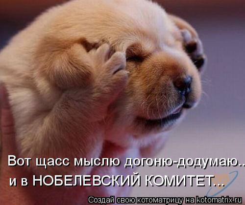 Вот щасс мыслю догоню-додумаю.. и в НОБЕЛЕВСКИЙ КОМИТЕТ...... Котоматрица: Вот щасс мыслю догоню-додумаю.. и в НОБЕЛЕВСКИЙ КОМИТЕТ...