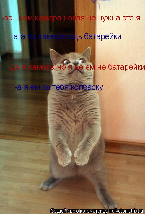 -ага ты камера ещь батарейки -ээ...нам камера новая не нужна это я -а я ем за тебя колбаску -да я кам... Котоматрица: -ага ты камера ещь батарейки -ээ...нам камера новая не нужна это я -а я ем за тебя колбаску -да я камера но я не ем не батарейки