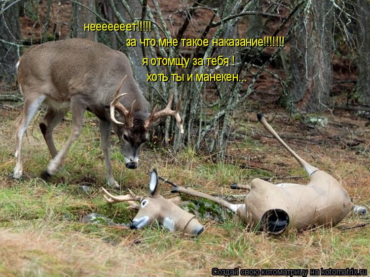 нееееееет!!!!! за что мне такое наказание!!!!!!! я отомщу за тебя ! хоть ты и манекен...... Котоматрица: нееееееет!!!!! за что мне такое наказание!!!!!!! я отомщу за тебя ! хоть ты и манекен...