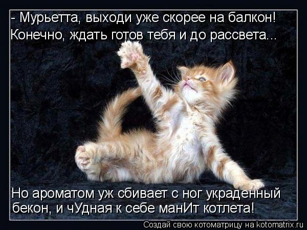 Котоматрица: - Мурьетта, выходи уже скорее на балкон! Конечно, ждать готов тебя и до рассвета... Но ароматом уж сбивает с ног украденный  бекон, и чУдная к с